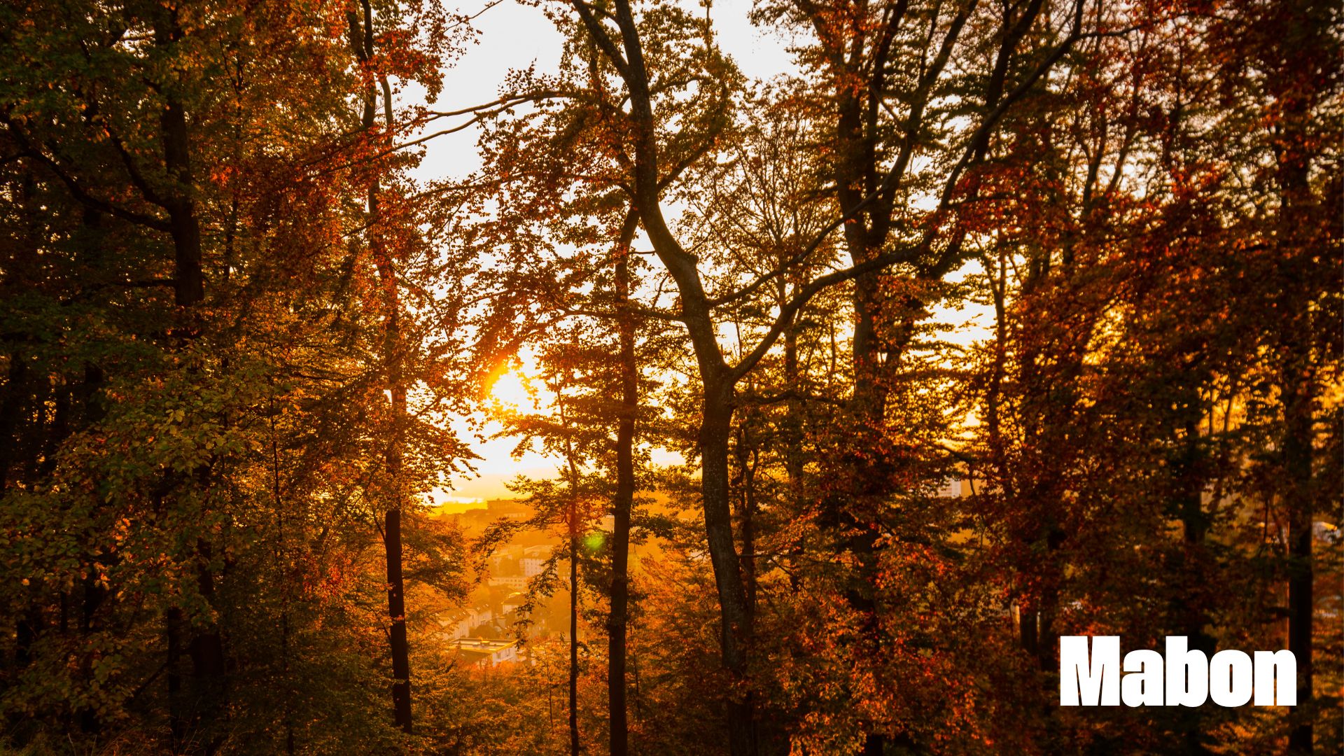 Celebrating Mabon, the Fall Equinox